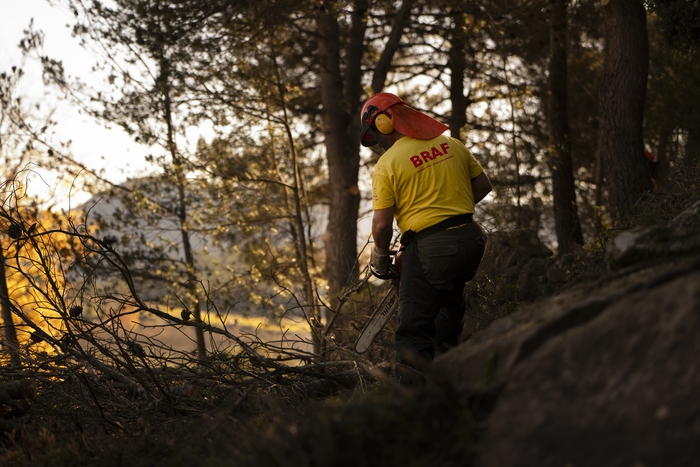 Las Brigadas Rurales de Actuación Forestal de la Diputación de Castellón, claves en la prevención de incendios en la provincia
