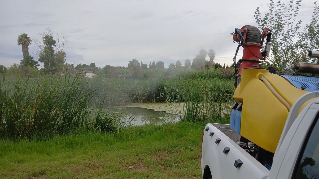 La Diputación de Castellón destaca el trabajo efectivo del Servicio de Control de Mosquitos que mantiene bajo control las poblaciones de mosquitos en toda la provincia
